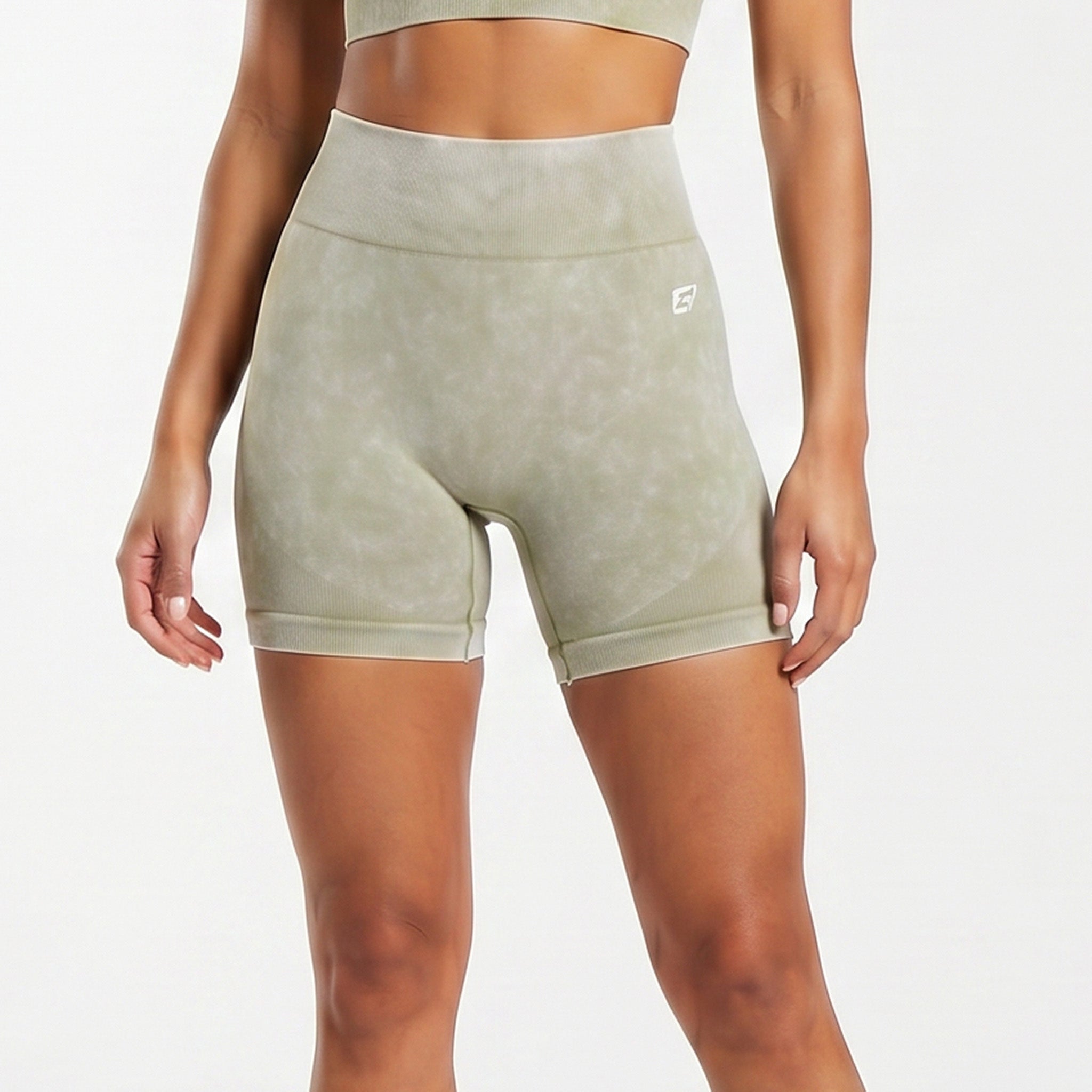 Palmfit Apex Seamless Shorts-Pw19Asslg