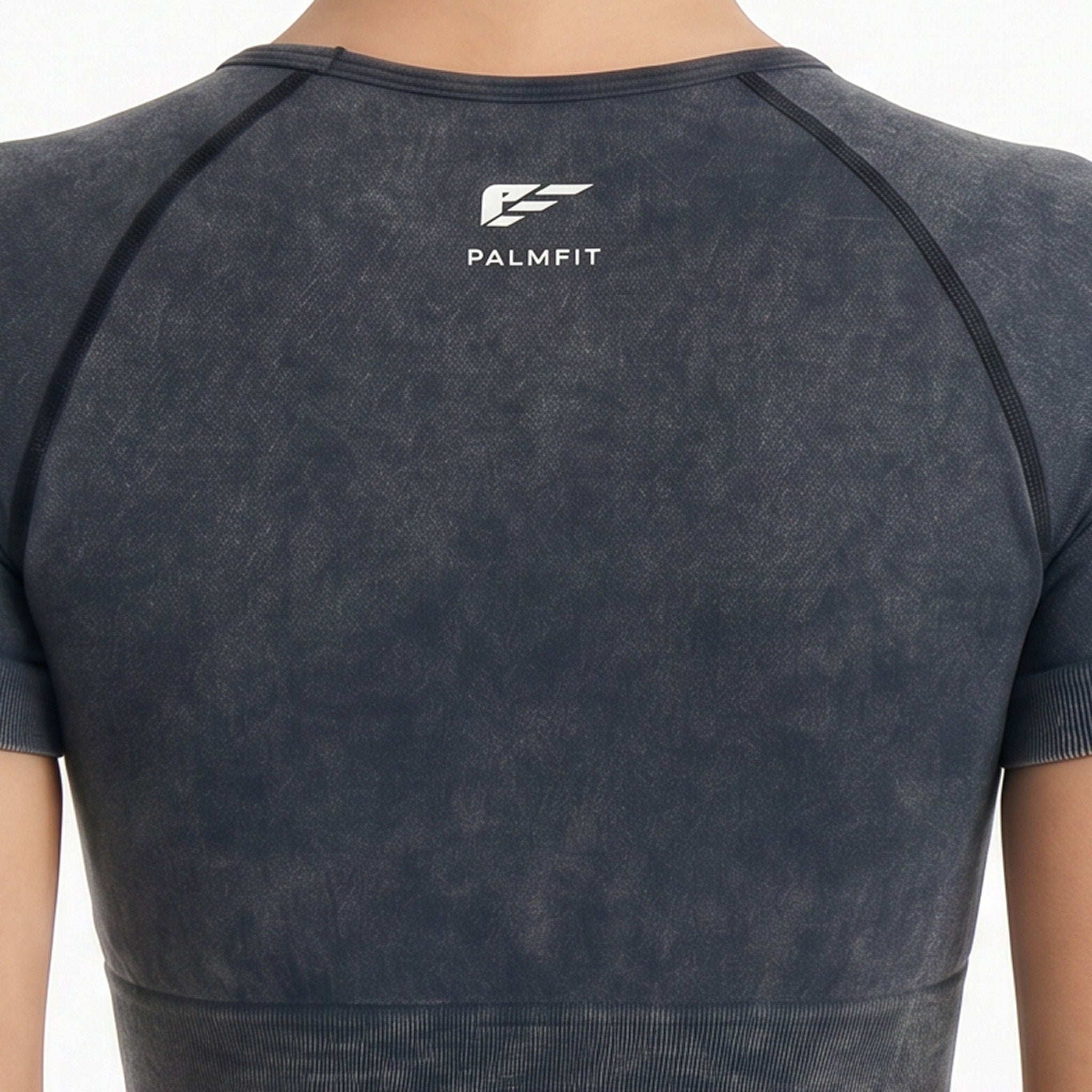 Palmfit Apex Seamless Tshirt-Pw11Astbk