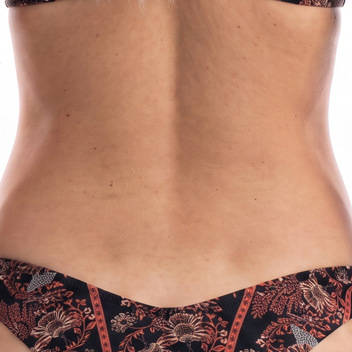 Gisela Swimwear Bikini Bottom-GE2/30192B